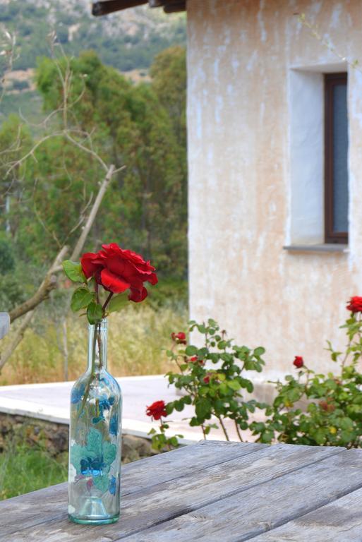 Agriturismo Rubinu Galtelli Room photo